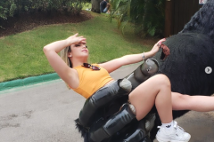 Captura-de-Tela-2024-10-15-as-12.26.55