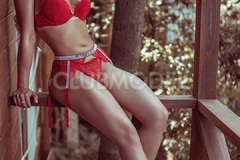 a159887329490810