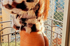 d18dc16c92e3360c0519cebb9ce0d185